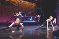 Pippin-11