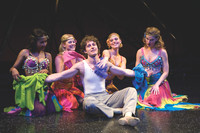 Pippin-12