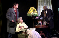 DrivingDaisy7