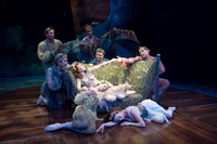 Midsummer-09