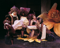 Midsummer12